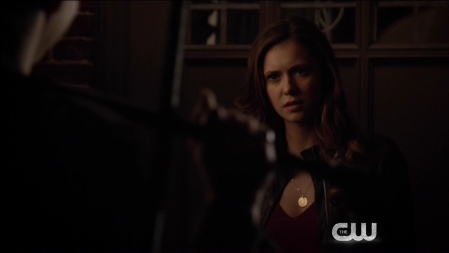 TVD_300.JPG