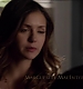 TVD_029.JPG